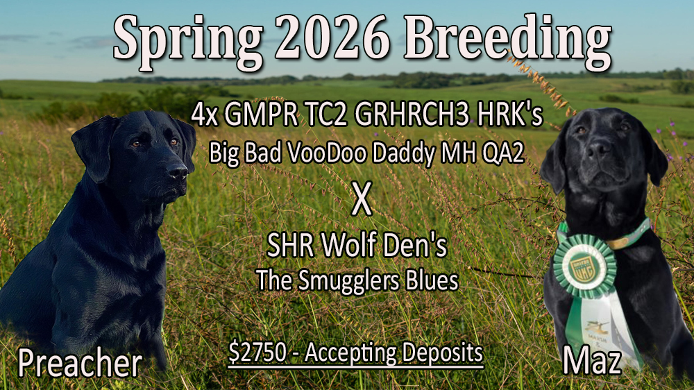 PreacherxRazzle Dazzle