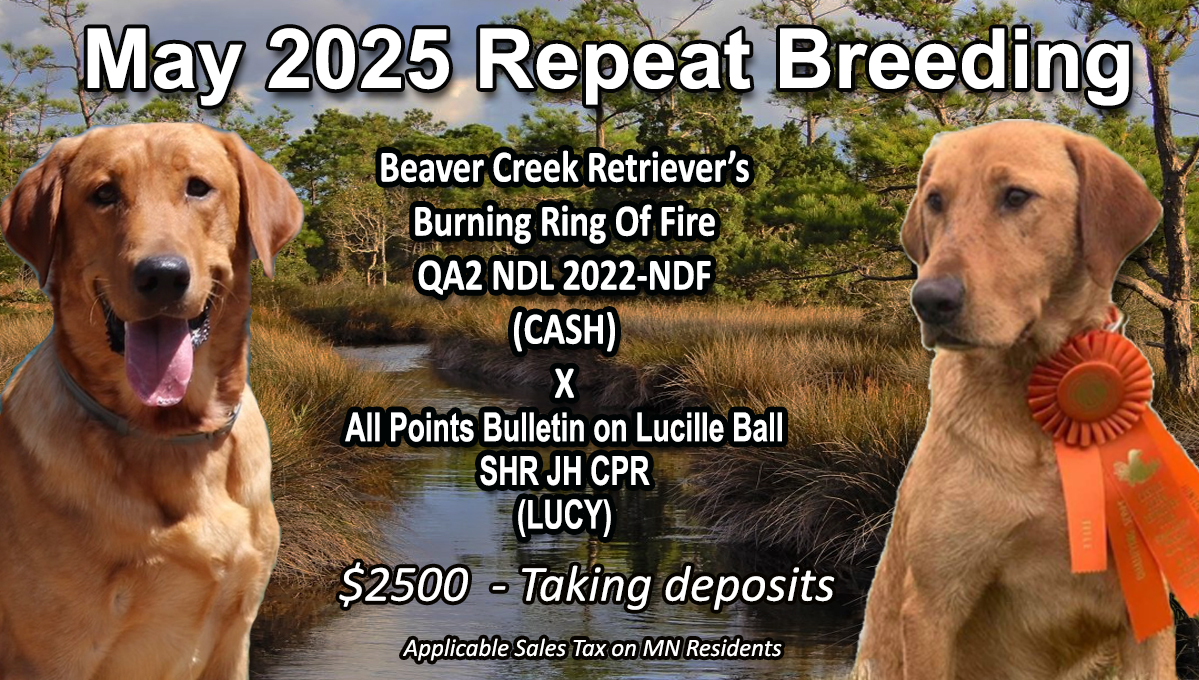 Lucy and Cash 05 2025