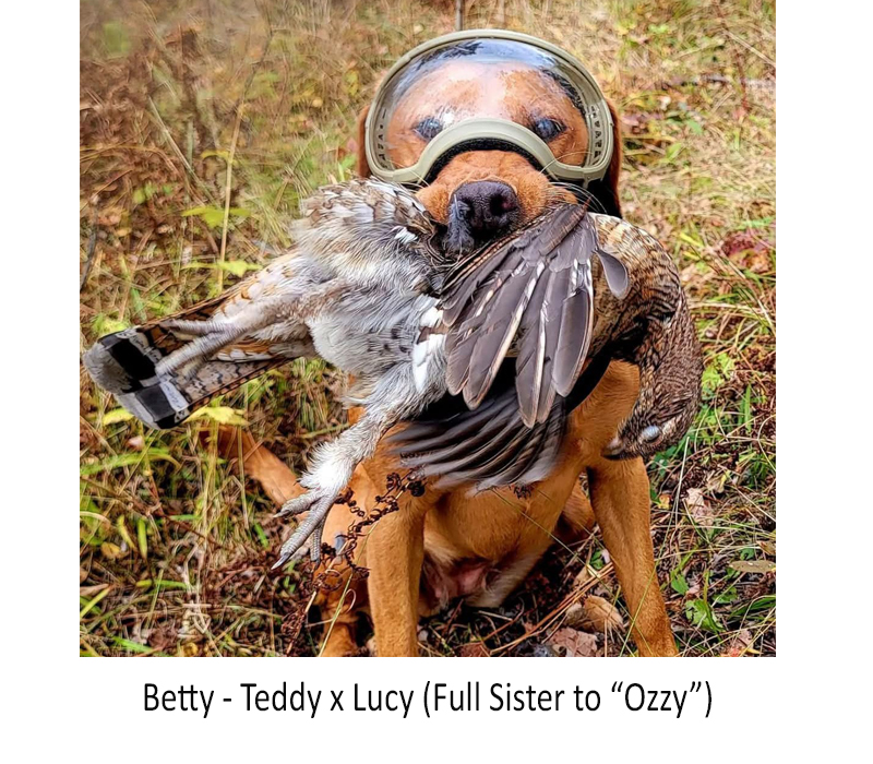 Betty-2026.jpg