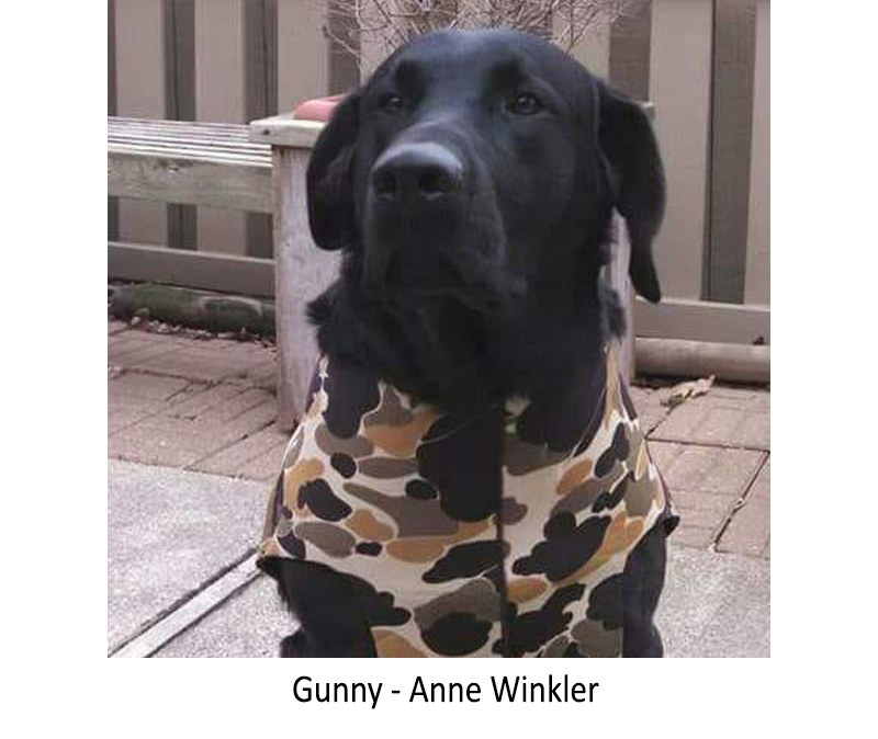 Gunny_-_Anne_Winkler.jpg