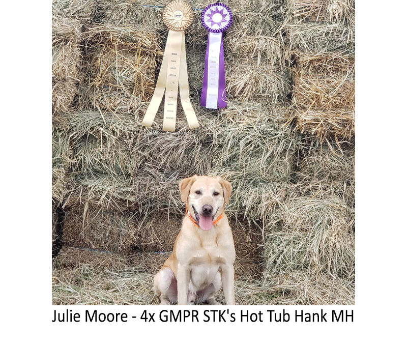 Julie_Moore_-_4x_GMPR_STKs_Hot_Tub_Hank_MH.jpg