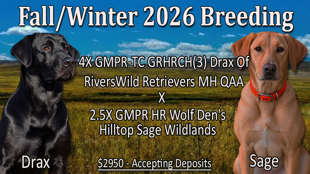 SagexDrax2026
