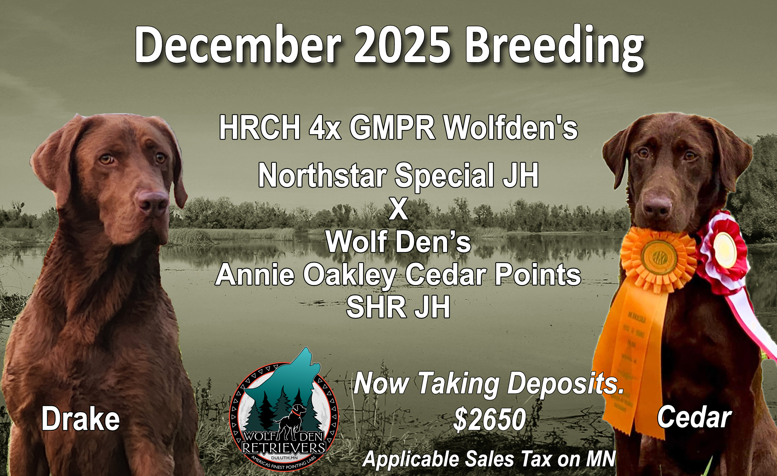 Cedar and Drake12 2025