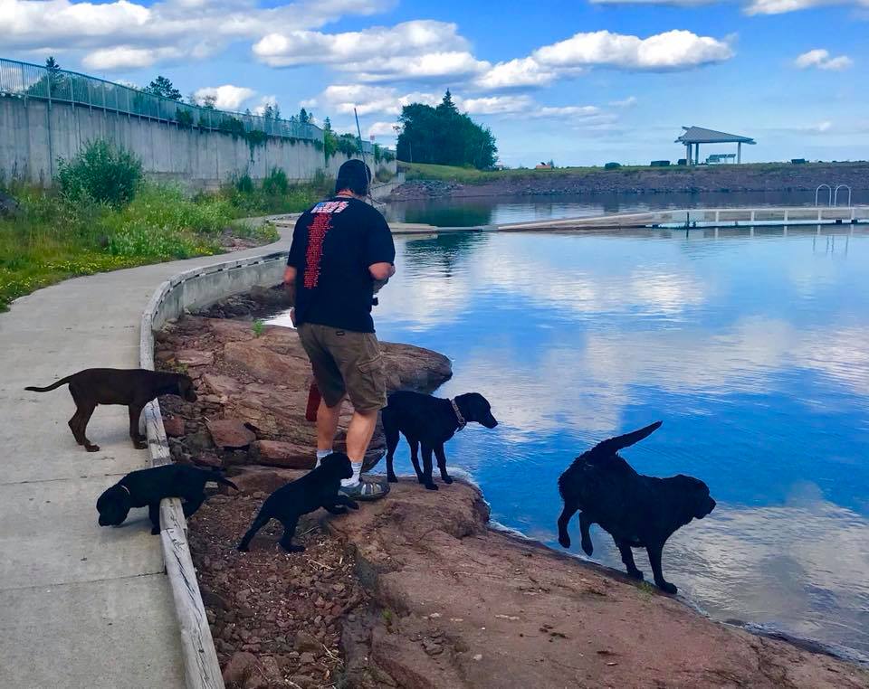 Doggy 101 water- Lake Superior.